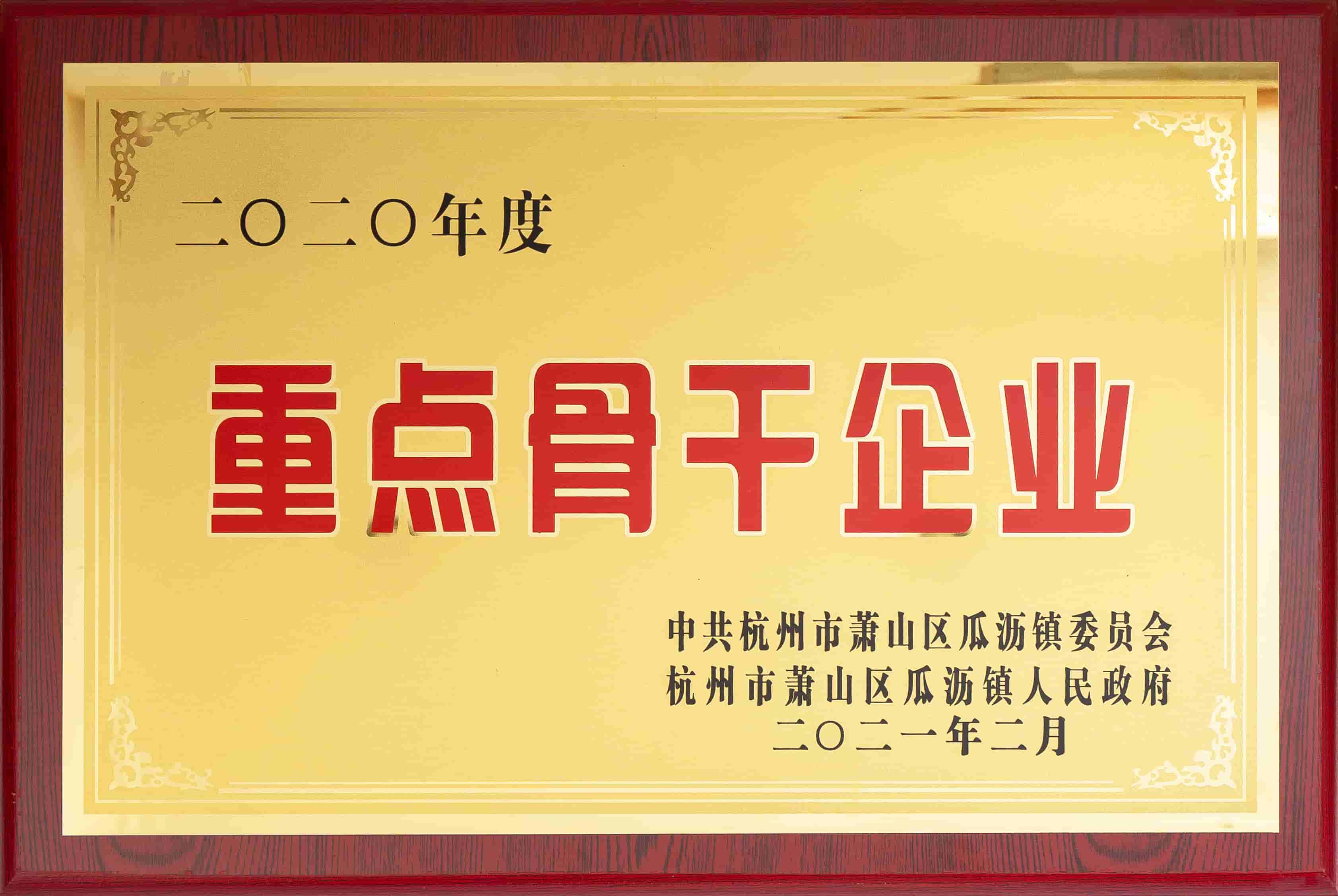 Belangrijke ruggengraatonderneming